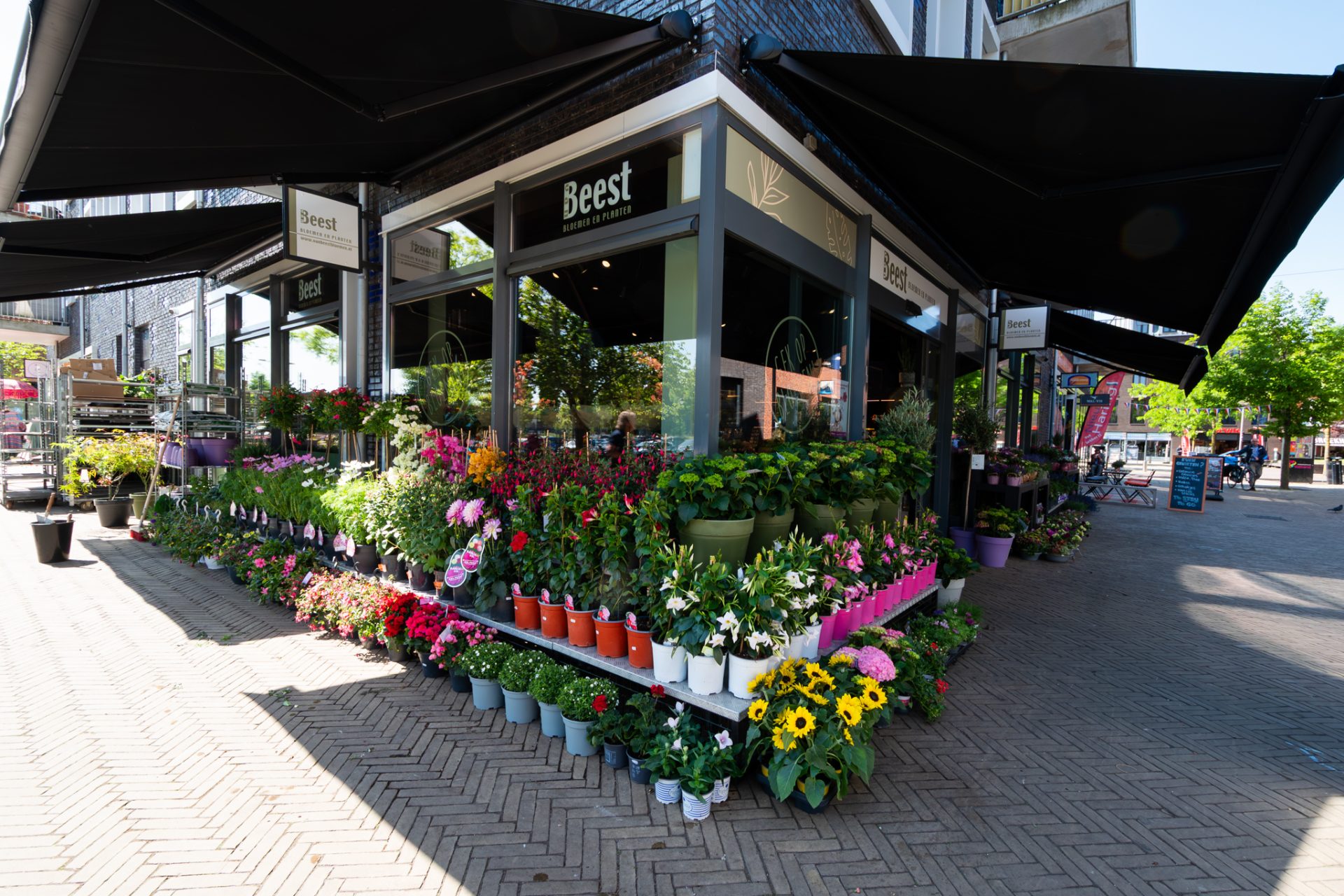 Van Beest Bloemen en Planten | Vathorst (NL) - Ladeneinrichtung
