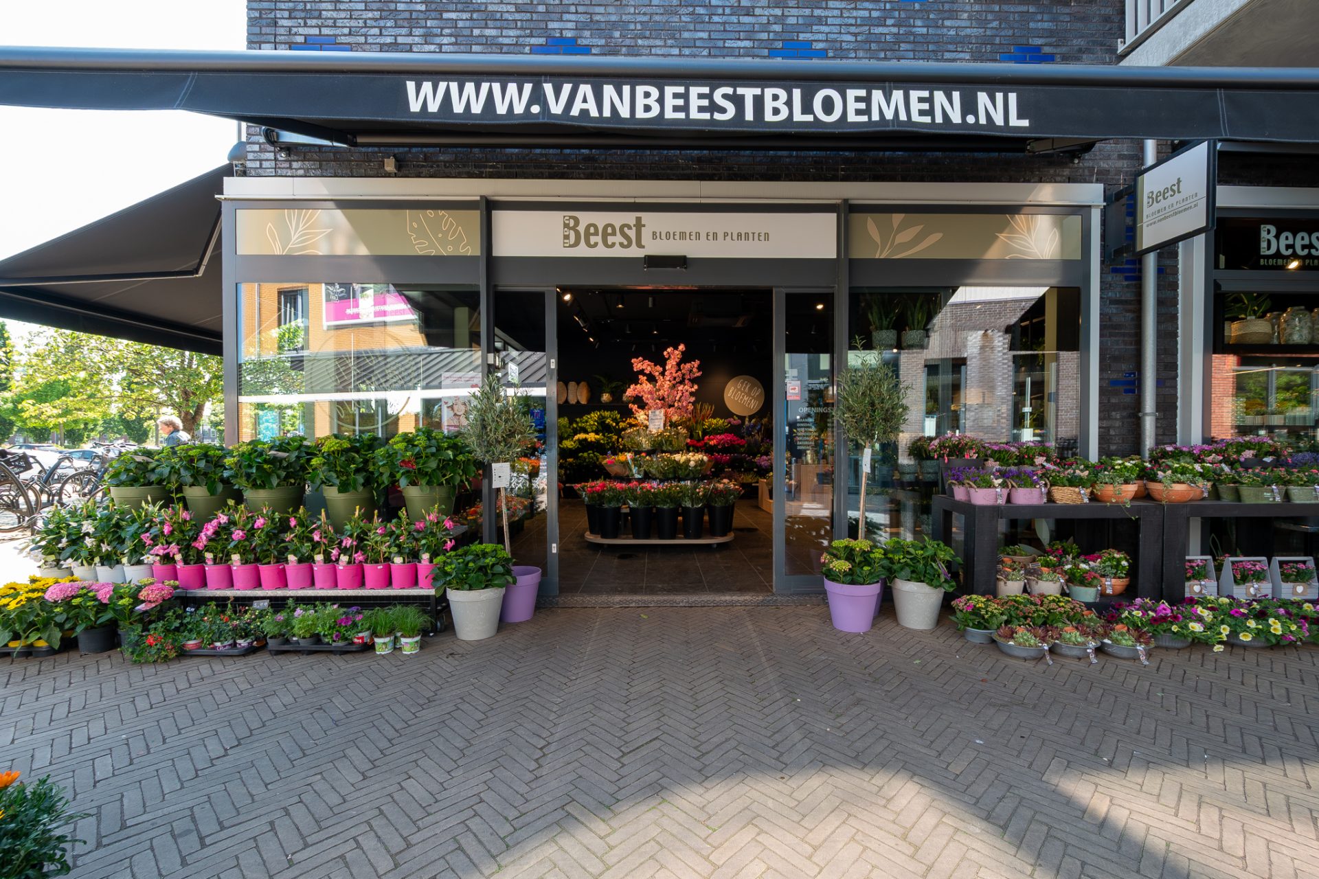 Van Beest Bloemen en Planten | Vathorst (NL) - Ladeneinrichtung