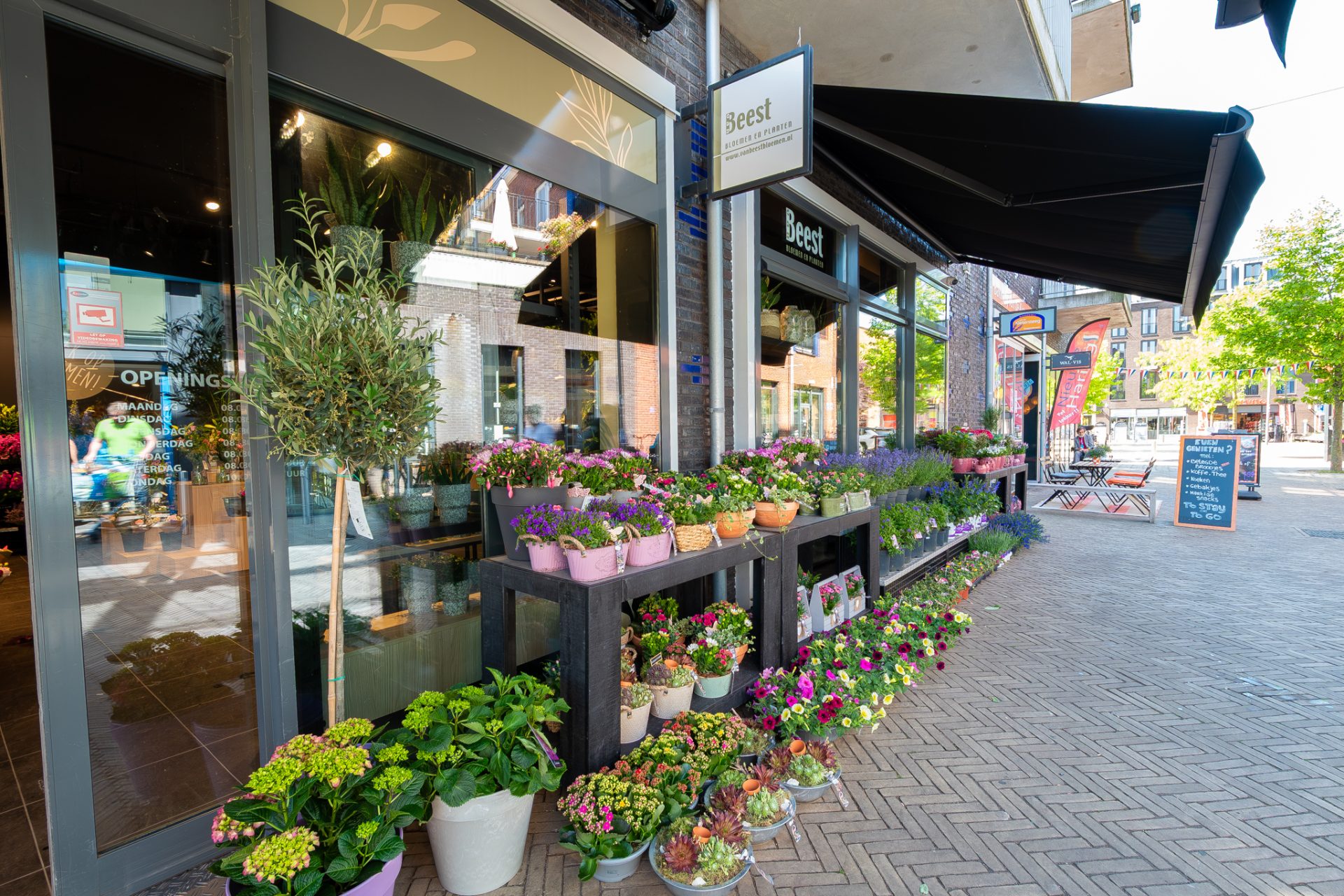 Van Beest Bloemen en Planten | Vathorst (NL) - Ladeneinrichtung