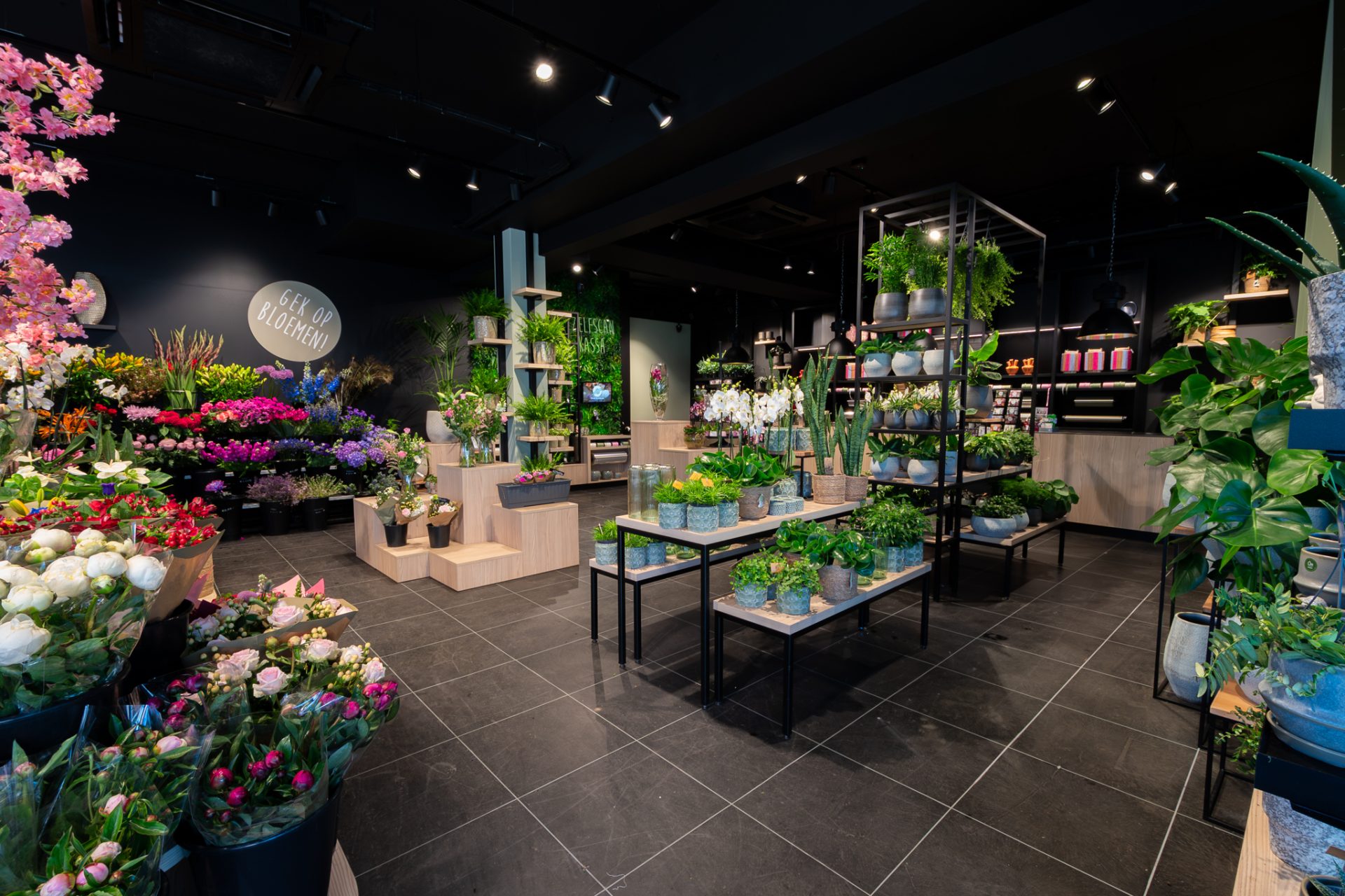 Van Beest Bloemen en Planten | Vathorst (NL) - Ladeneinrichtung